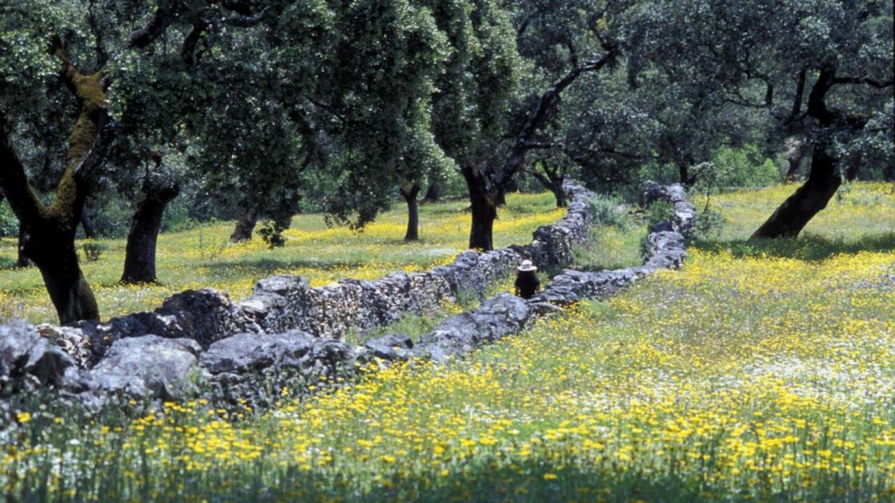 Molino Rio Alajar Pension Buitenkant foto